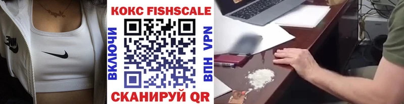 купить наркотики цена  MEGA онион  Кокаин Fish Scale  Сысерть 