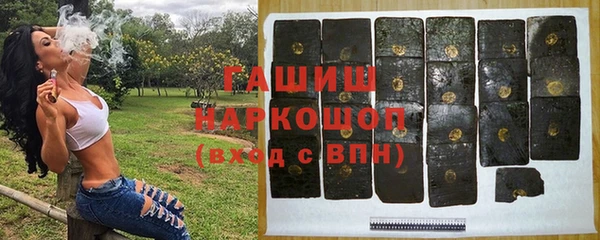СК Алексин