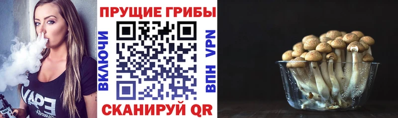 Галлюциногенные грибы ЛСД  где продают наркотики  KRAKEN   Сысерть 